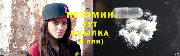 прущие грибы Каменка