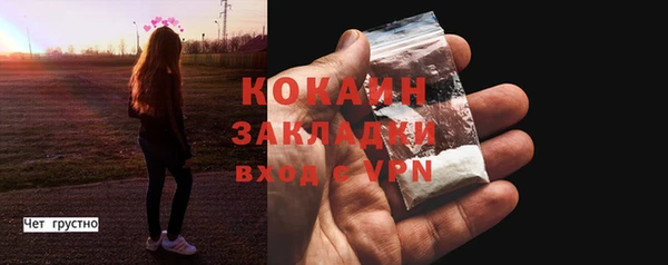 прущие грибы Каменка