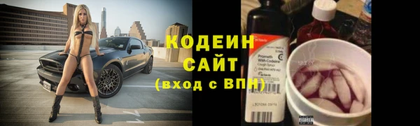 прущие грибы Каменка