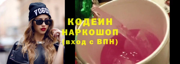 прущие грибы Каменка