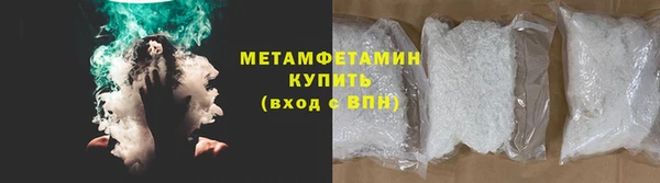 прущие грибы Каменка