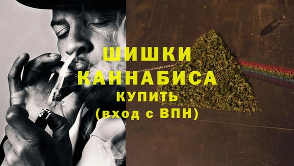 прущие грибы Каменка