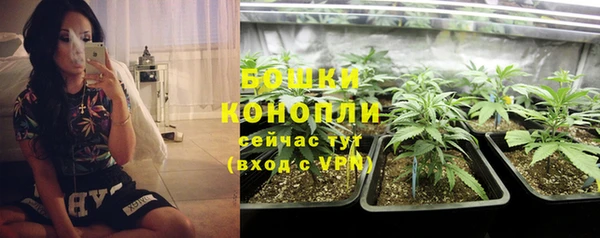первитин Каменногорск