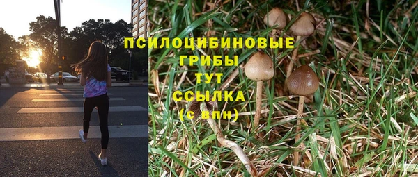 первитин Каменногорск